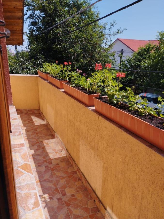 Vila Florelena Năvodari Esterno foto